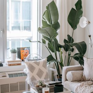 Decora tu piso con estilo y gastando poco